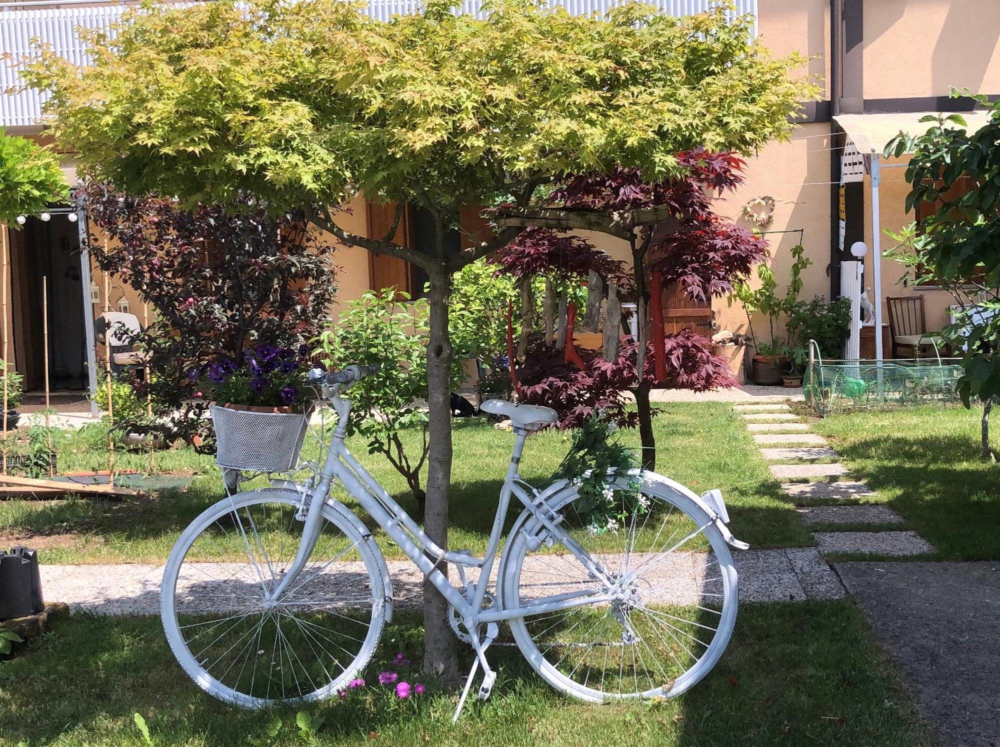Bed and Breakfast Sensory Garden Сан-Даниэле-дель-Фриули Экстерьер фото
